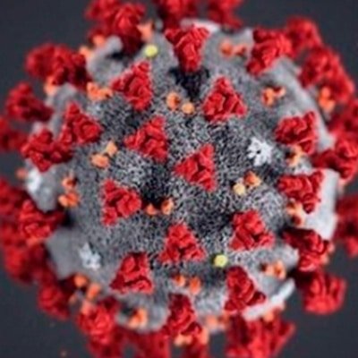 Productos y Servicios